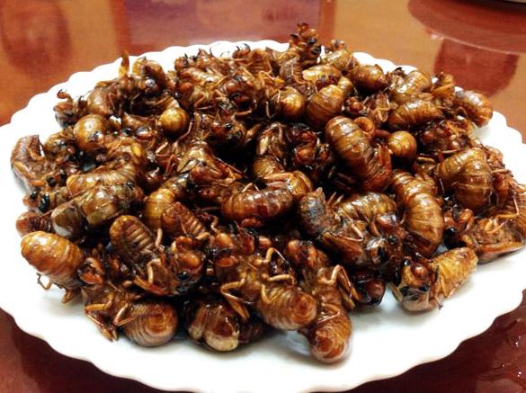 土特产电商平台运营方案,一份跨境电商的运营方案