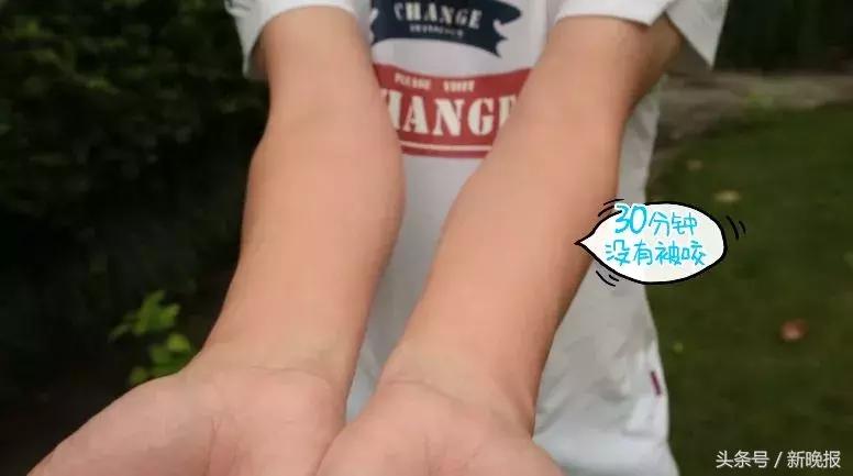 网红测评驱蚊的东西,打假测评达人驱蚊神器