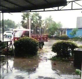 浙江多地将迎大风暴雨温州,台风来袭浙江台州