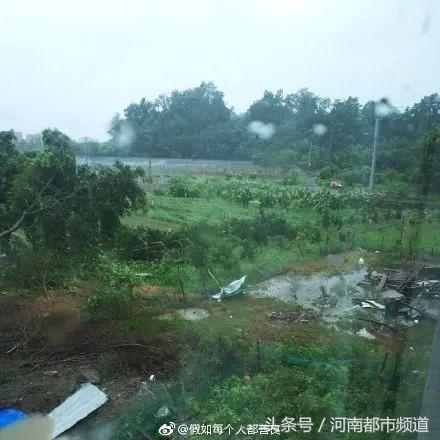浙江多地将迎大风暴雨温州,台风来袭浙江台州