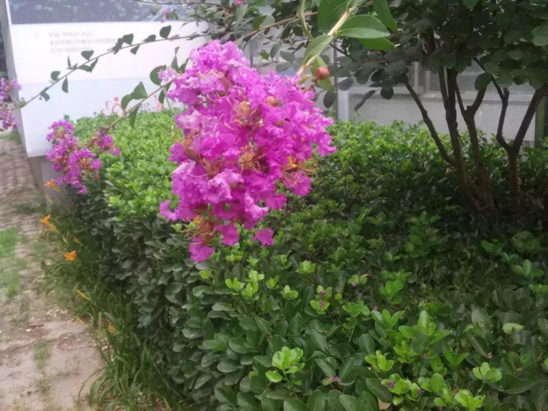 昂达x20平板能开什么画质和平精英,昂达x20插卡视频