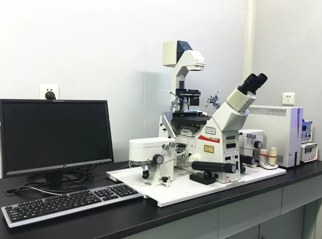 西南民族大学,西南民大网红校区