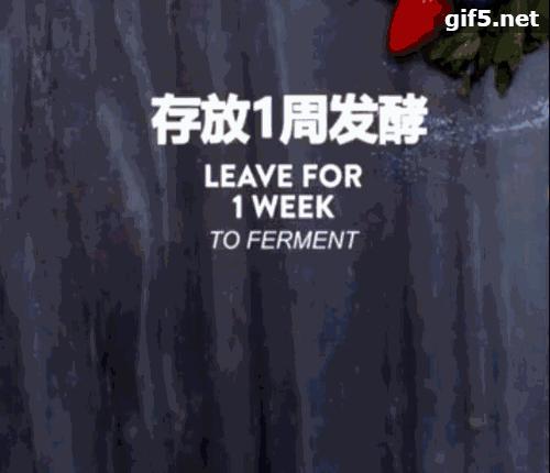 果味利口酒怎么做,永年水果酒的制作方法