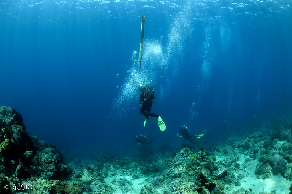 一生必去的浮潜胜地,世界十大浮潜胜地