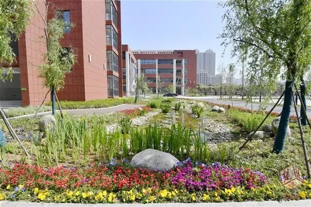 青菱片区这三所学校，足以让孩子开心、家长放心！