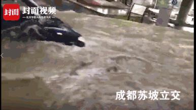 “5个单子都是拉人！”，实测成都暴雨下的货拉拉和58速运