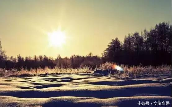 一个80后女大学生拿到！成功打造了山东省唯一国家级田园综合体