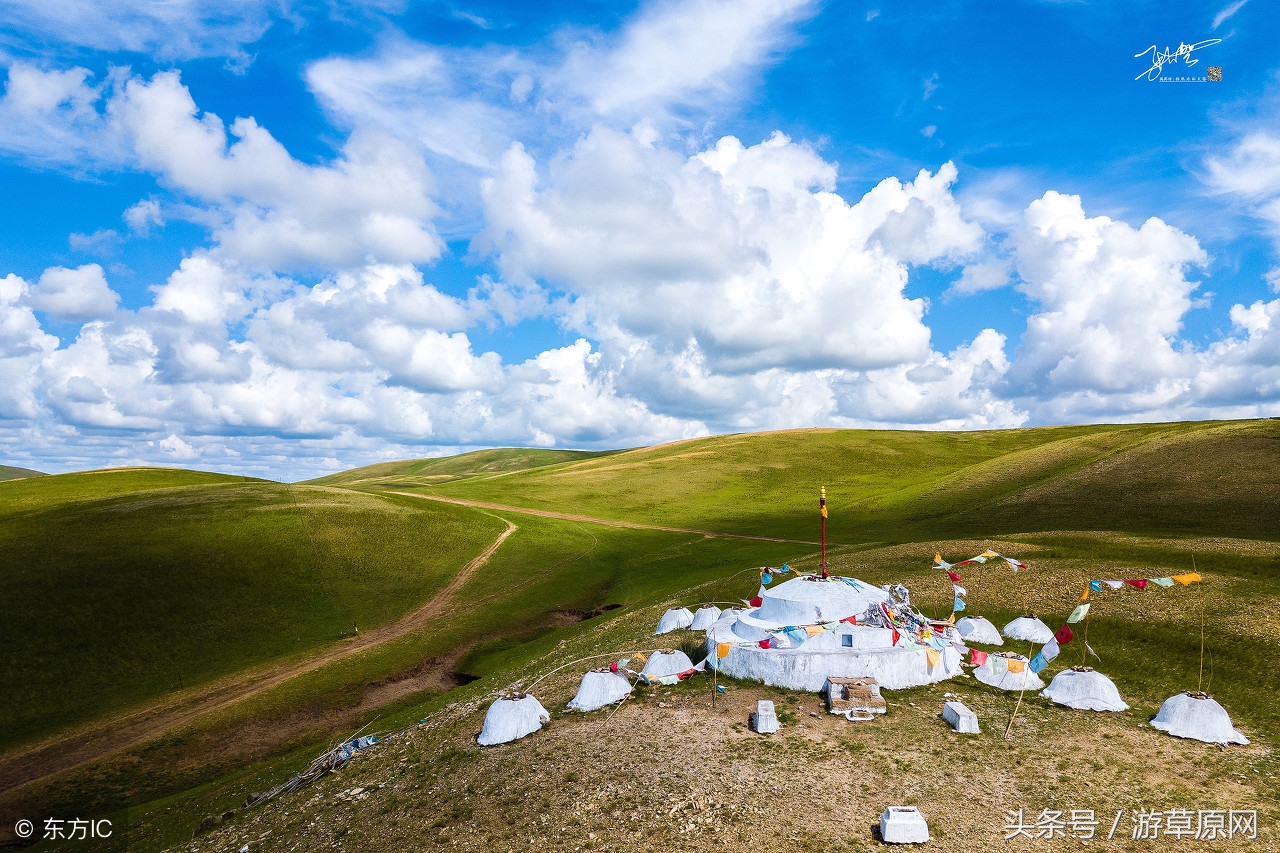 若尔盖草原旅游攻略 (呼伦贝尔大草原旅游攻略自驾)