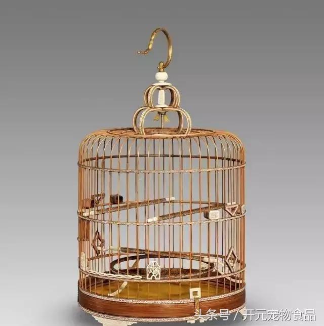 教你判断一只鸟笼的优劣,怎么辨别鸟笼真假