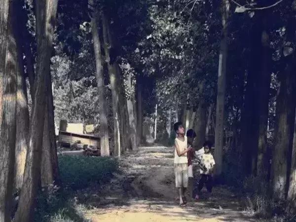 天津人对天津的印象和感受,天津人90年代的记忆