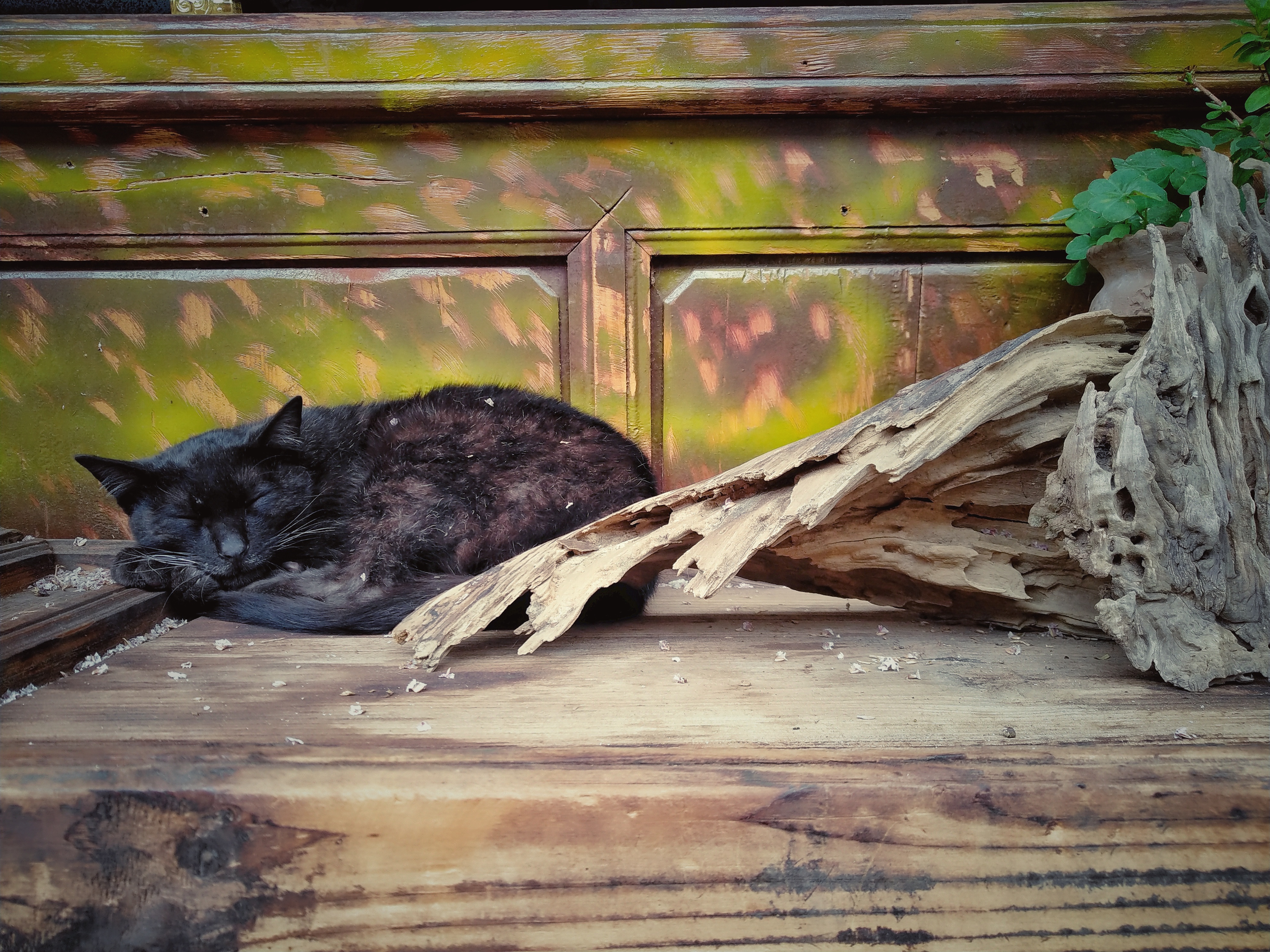 强迫症住院治疗一个月多少钱,强迫症患者要花多少钱