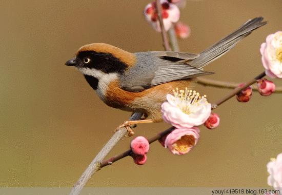 11月10，观音赐福了，快接住，谁打开谁幸福，福福福福福