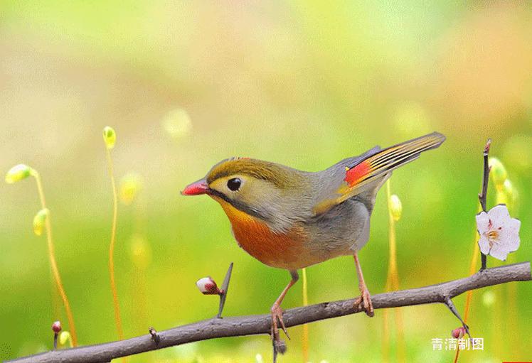 11月10，观音赐福了，快接住，谁打开谁幸福，福福福福福