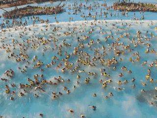 郑州方特乐园水上乐园,方特水上乐园跟奥帕拉拉怎么选