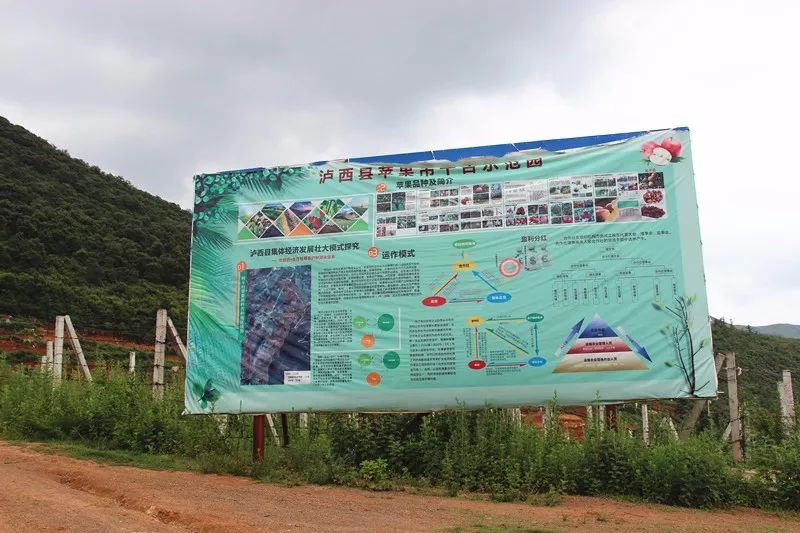 「发现」跳上生态旅游的“舞台”——看泸西阿平村如何美丽嬗变~