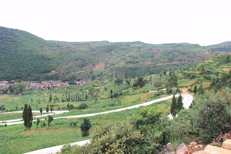 「发现」跳上生态旅游的“舞台”——看泸西阿平村如何美丽嬗变~