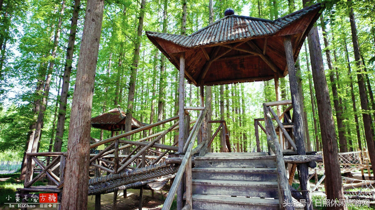 日照浴场海鲜攻略,日照海滨浴场旅游攻略