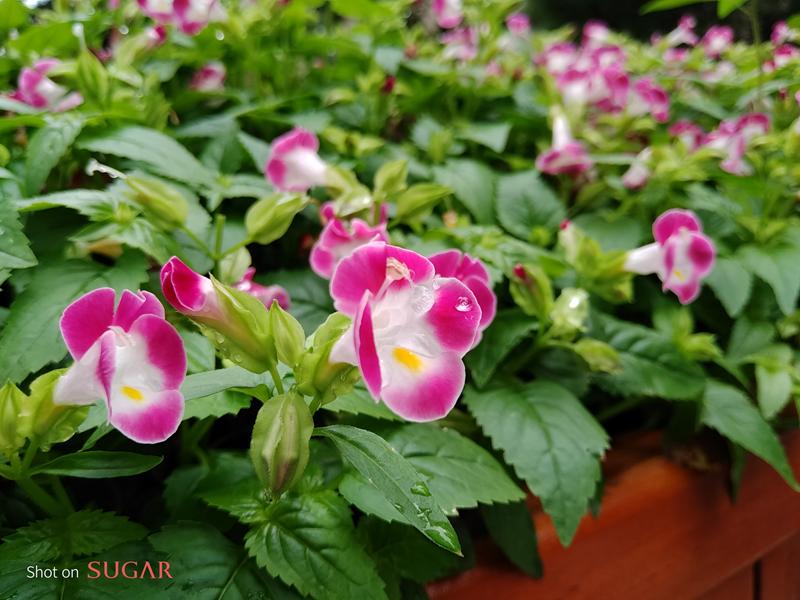 暑假旅行必带神器,暑假出游必备品便携式神器