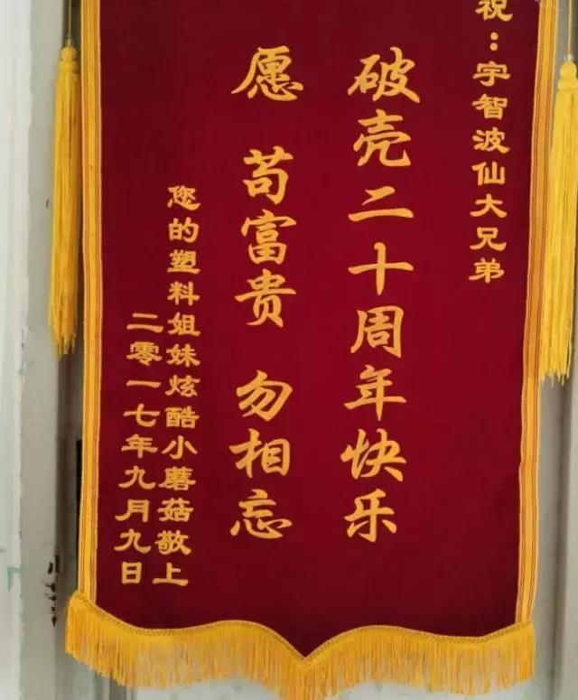 没对象怎么了系列歌曲,没闺蜜没对象怎么办