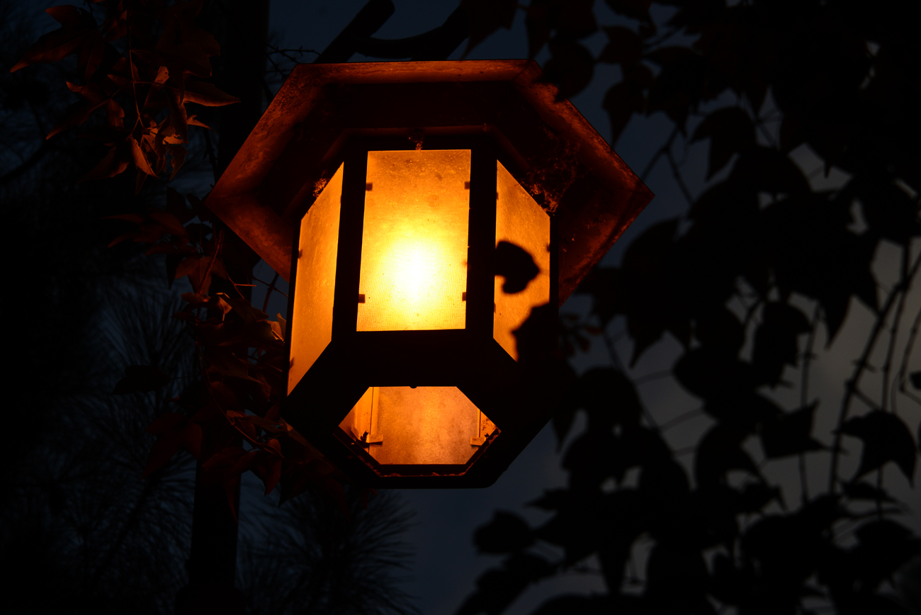 帮助同事工作出错同事被领导批评,工作失误被同事指责怎么办