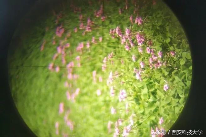 让14个实习课程告诉你，西科的实习周究竟隐藏着怎样的乐趣