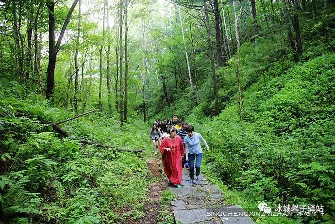 走进伊春的南大门,铁力给你一个不一样的夏天