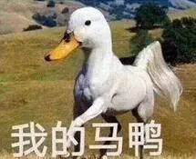 被搞混很多年的“山东德州”终于坐不住了！网友的回复也是爆笑十足……