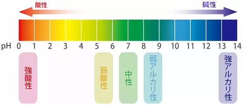 十大日本洗面奶排行榜,日本阿拉蕾氨基酸洁面