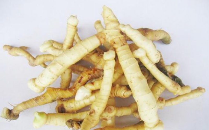 补气血中药玉竹,补阴中药玉竹