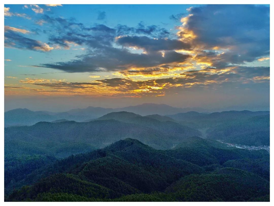 3万多亩的“天然氧吧”!人民日报整版报道佛山这座“中国最美林场”