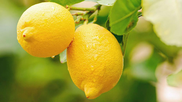 下巴绷紧皮里面有好多颗粒,下巴有白色颗粒凸起怎么解决