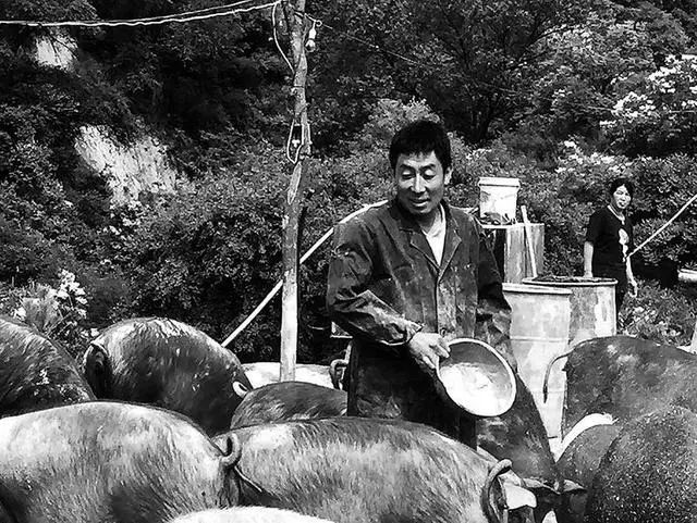 胡占军个人资料,胡占军简历