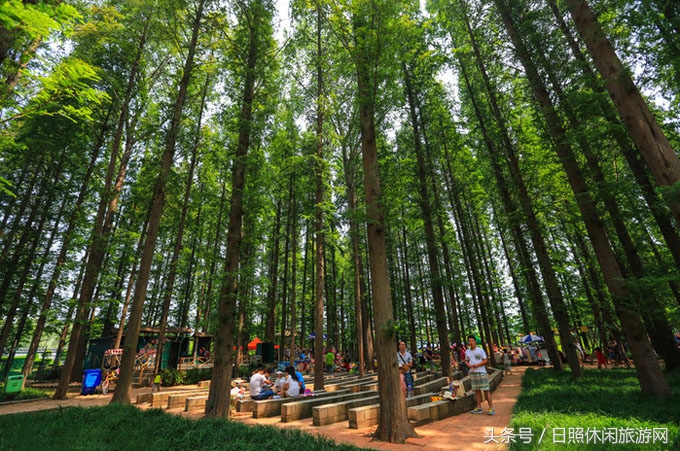 带你一起看美丽的大日照,欣赏大美日照