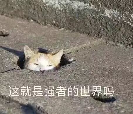 「沙富济贫」「马不停踢」稳中带皮的世界杯成语你知道吗?