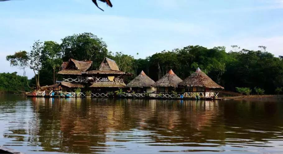 世界上最好的生物炭,世界上的生物炭