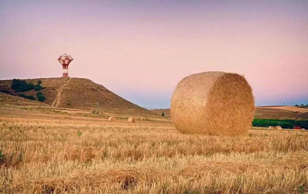 世界上最好的生物炭,世界上的生物炭