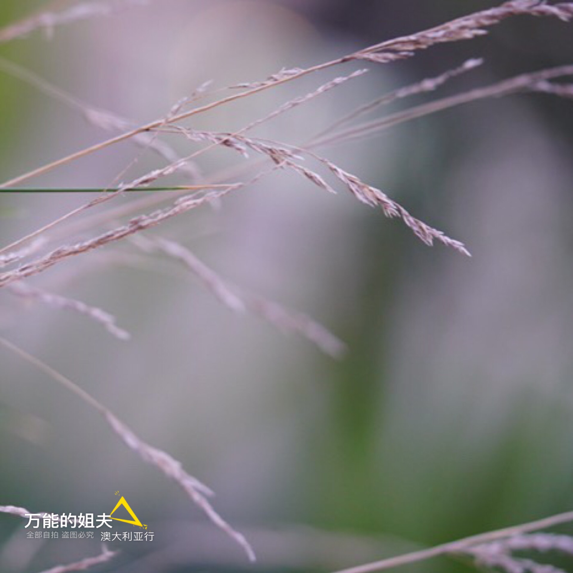 开饭店的小明,开餐馆的小明