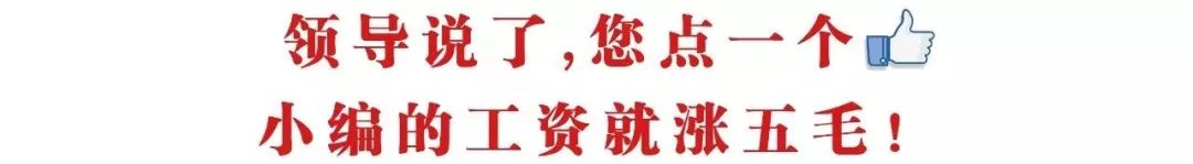 甜品界地震了！第一口就上瘾，酥到掉渣的曲奇，现在整盒免费送！