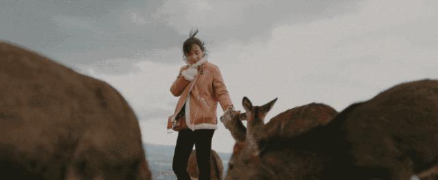 甜爆了坦诚夫妇,甜爆情侣