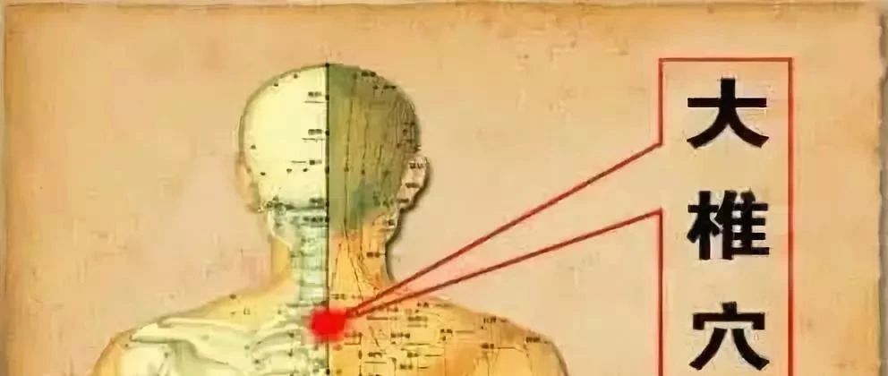 如何提高大椎阳气,大椎的功效和作用