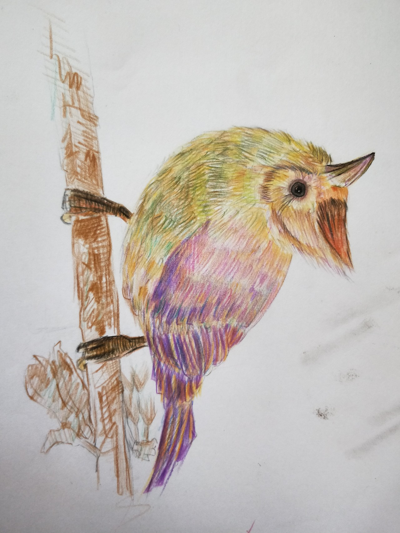 绘画是可以陪伴一生的兴趣,绘画让人心神安宁找寻自我