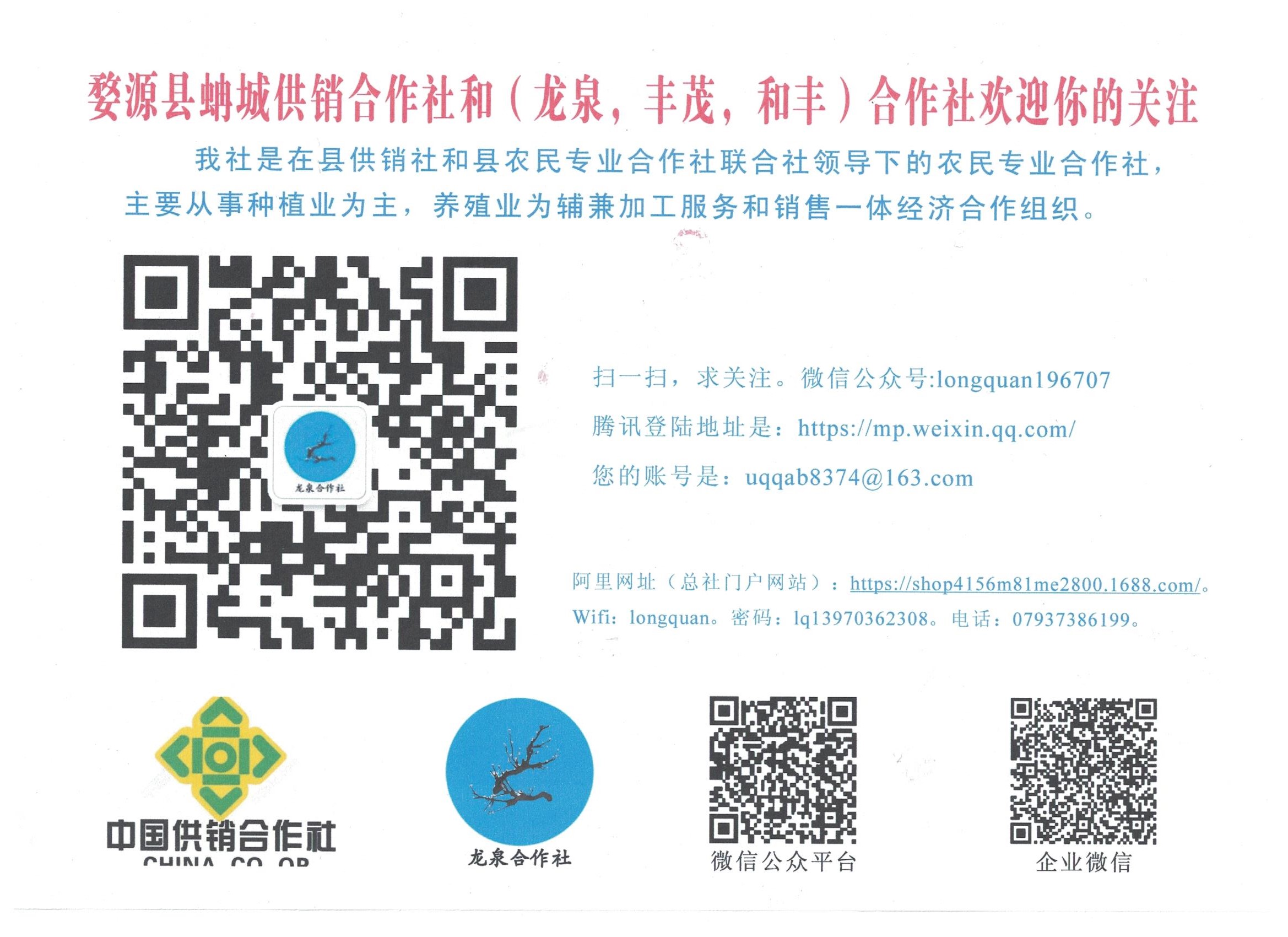 婺源绿茶手工茶,婺源绿茶品种