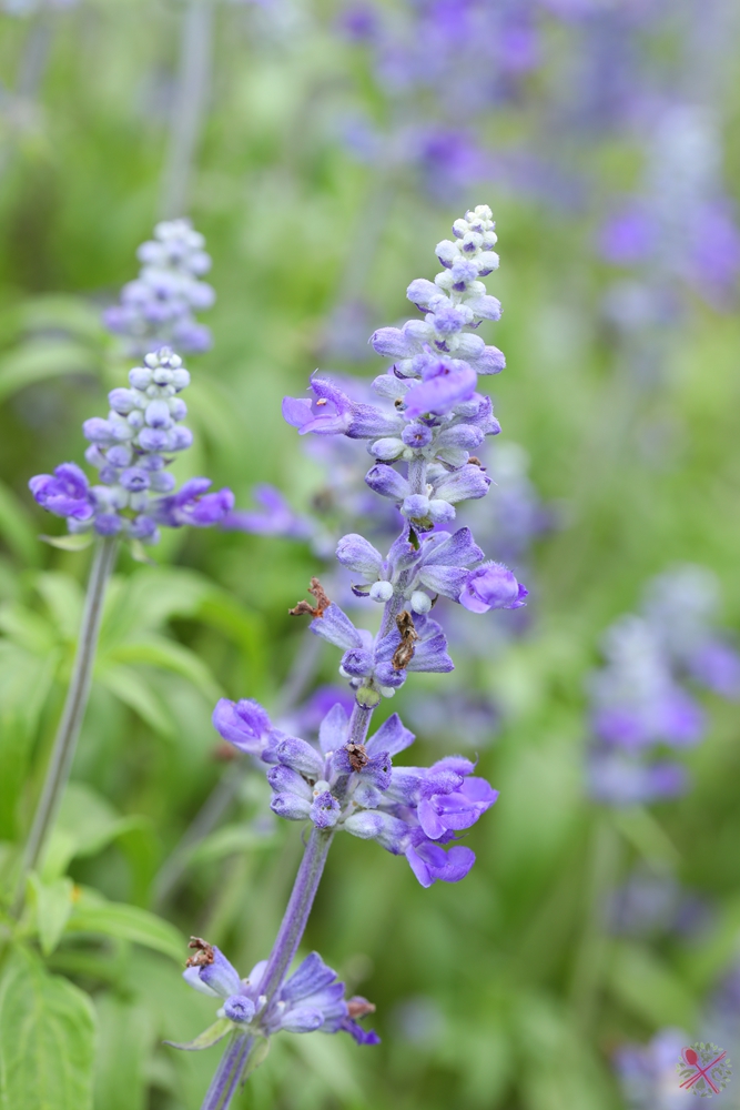 暑假带孩子逛公园,带孩子玩跳楼