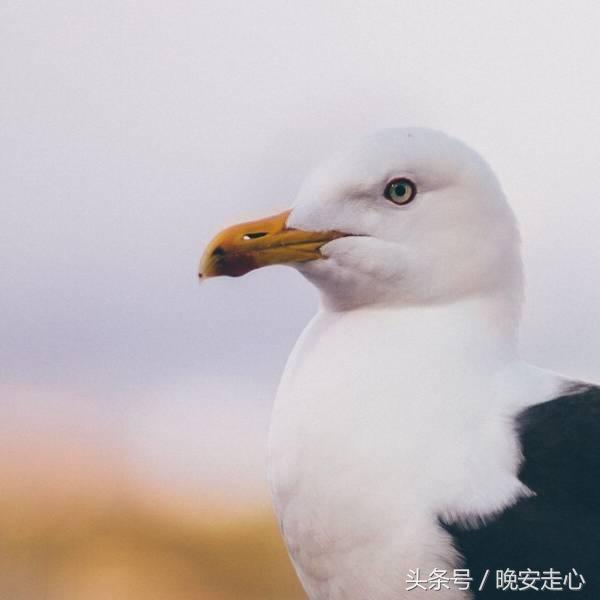 员工晨会分享正能量5分钟,晨会员工分享正能量一段话及感悟