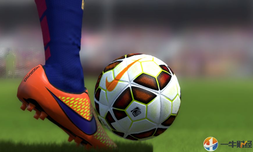 世界杯阿迪达斯和耐克,世界杯耐克阿迪