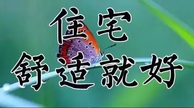 祝你天天快乐早上好图片,祝大家早上好天天有个好心情