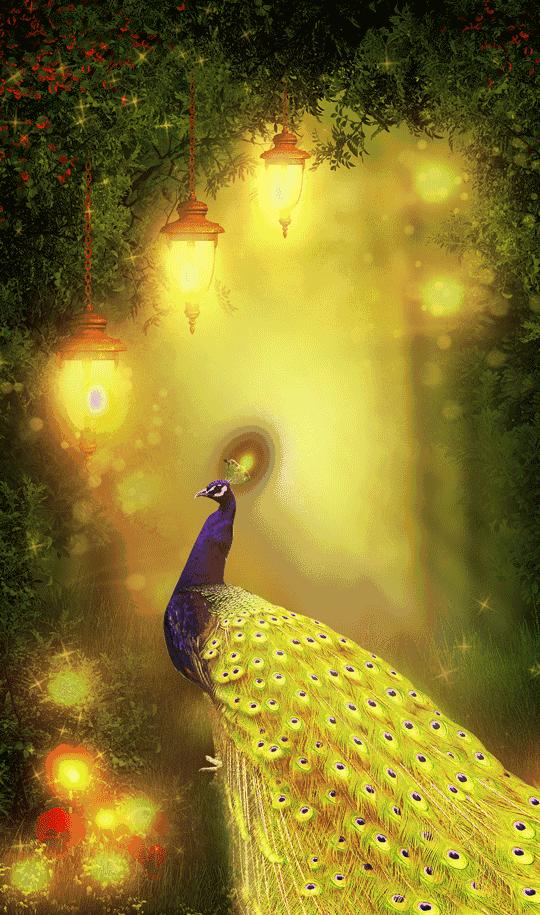 祝你天天快乐早上好图片,祝大家早上好天天有个好心情