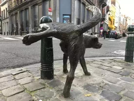 比利时人语言天赋,比利时人眼中的幽默