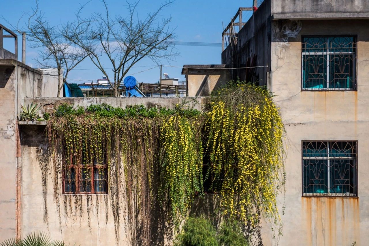 一个失业大叔，用1500元拍下自己幸福的父母，豆瓣9.2分！