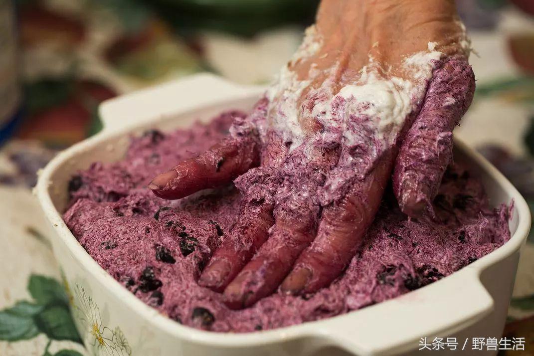 世界上有哪些人类禁地,世界上有秘境吗